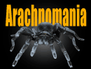 arachnomania banner