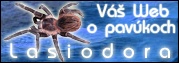 http://lasiodora.sk
